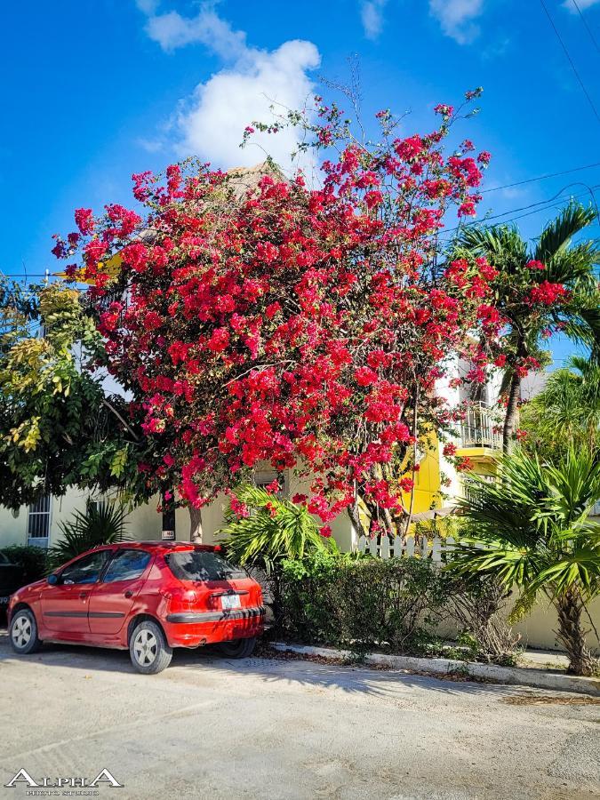 Tu Casa En El Caribe Privatunterkunft