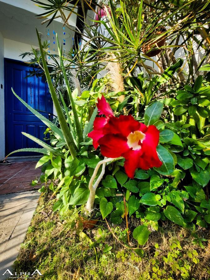 Tu Casa En El Caribe Privatunterkunft