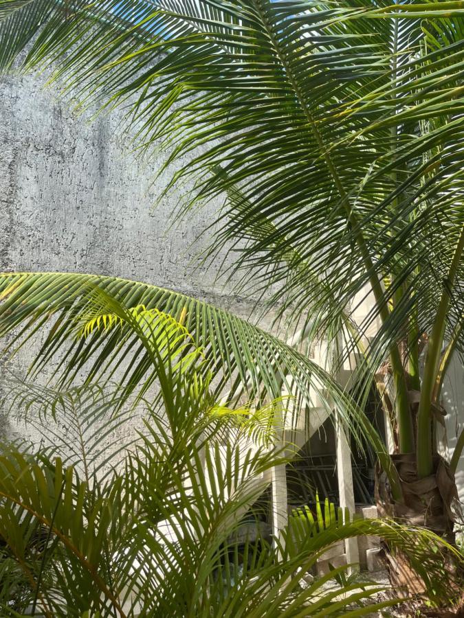 Apartment Bamboo Close To Ferry And The Beach *