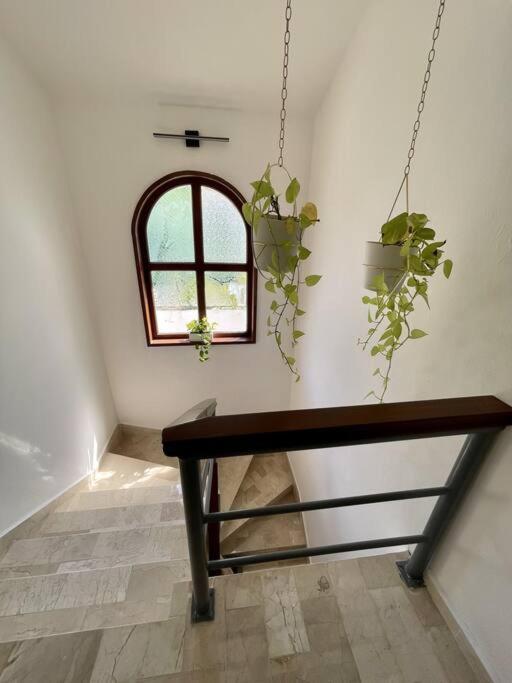 Holiday home Beautiful Jungle House On A Strategic Location *