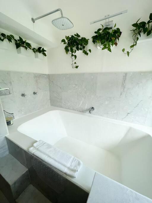 Beautiful Jungle House On A Strategic Location Holiday home Cancun