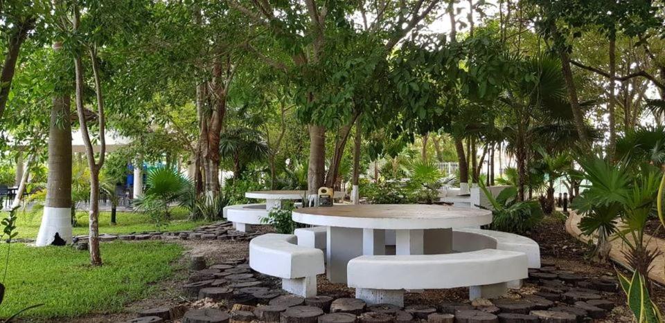 Casa Laura Y Campa Cancun