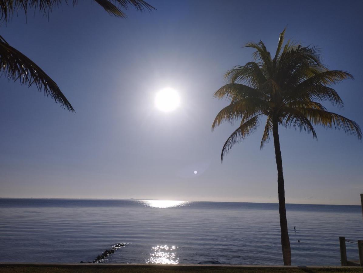 Bed & Breakfast Ocean View Flamingo