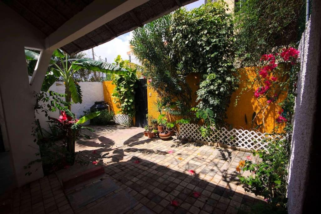 Tropical House In Downtown Holiday home Cancun