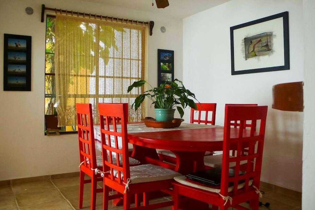 Tropical House In Downtown Holiday home Cancun