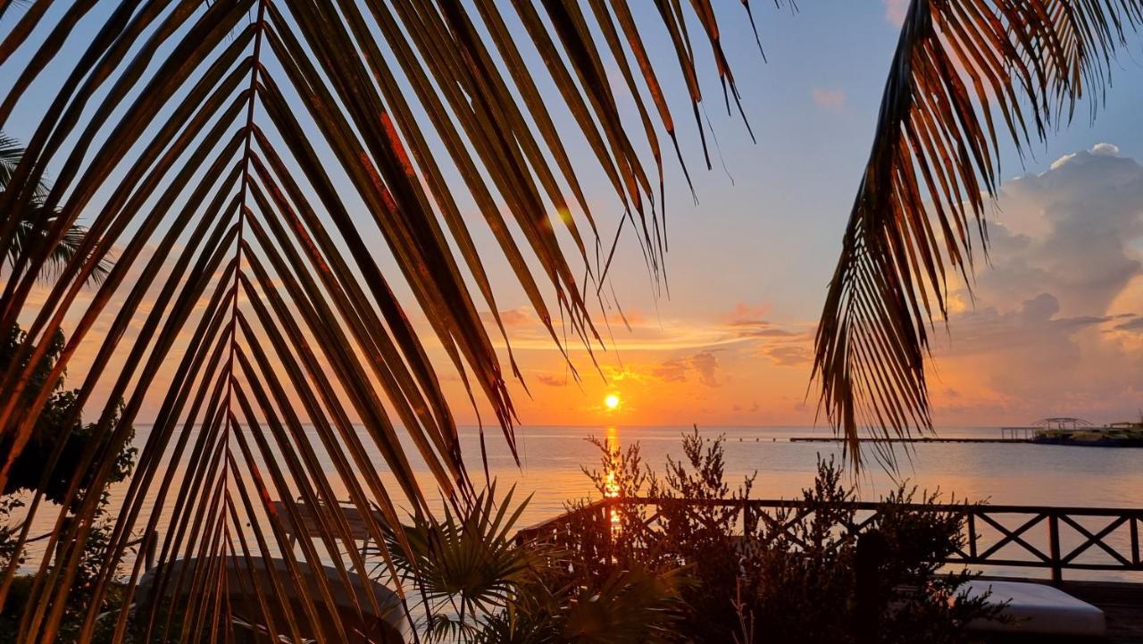 Apartment On The - Seaside Sunrise Haven 3 Bedrooms Sea View *