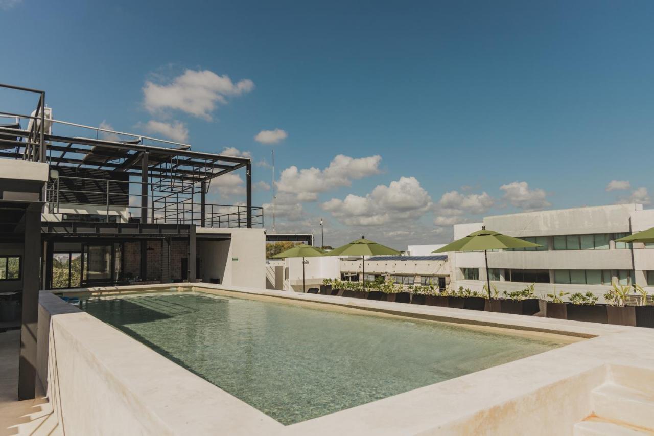 Hostel Caleta Rooftop & Pool *