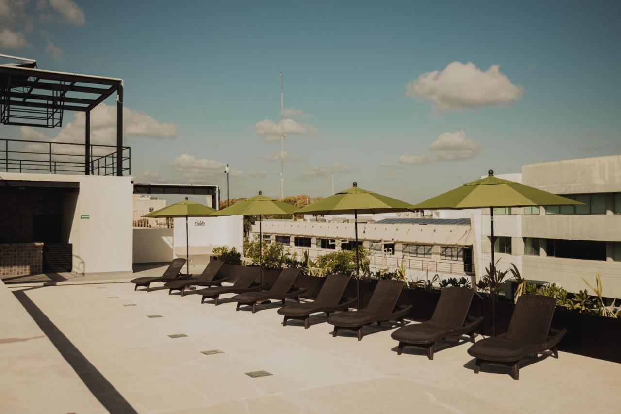Caleta Rooftop & Pool Hostel