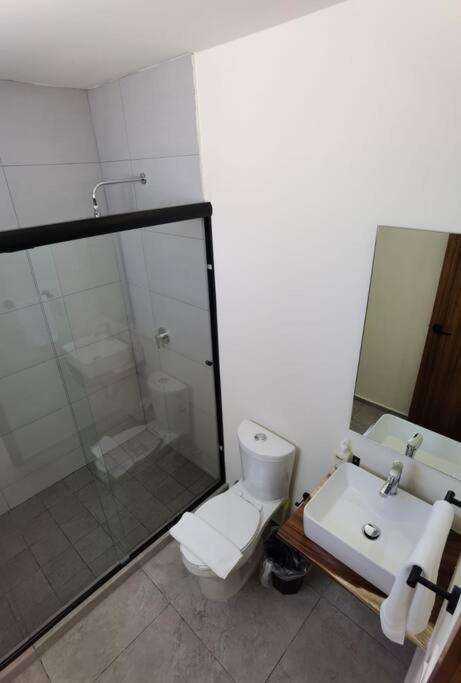 Hermoso Departamento #3 Apartment *