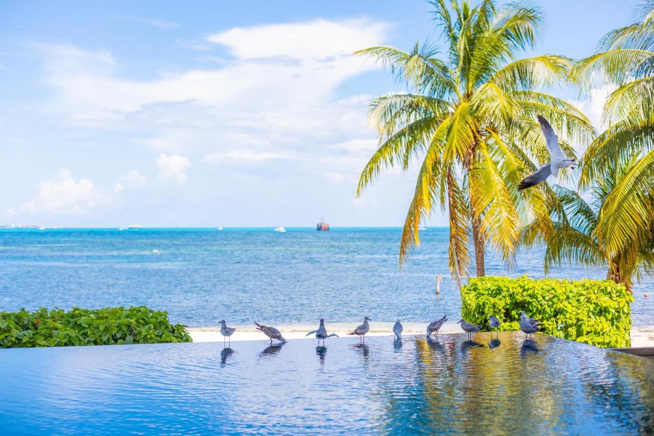 Naima Luxury Beachfront (adults Only) Aparthotel Cancun