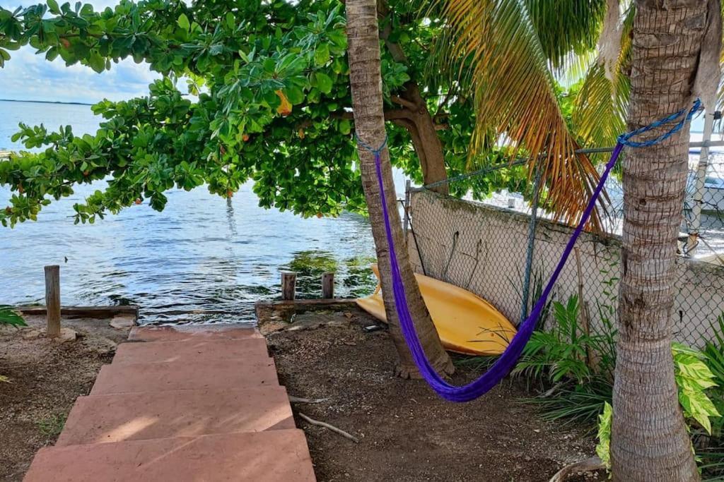 Apartment Laguna Cancun, Kayaks Gratis. *