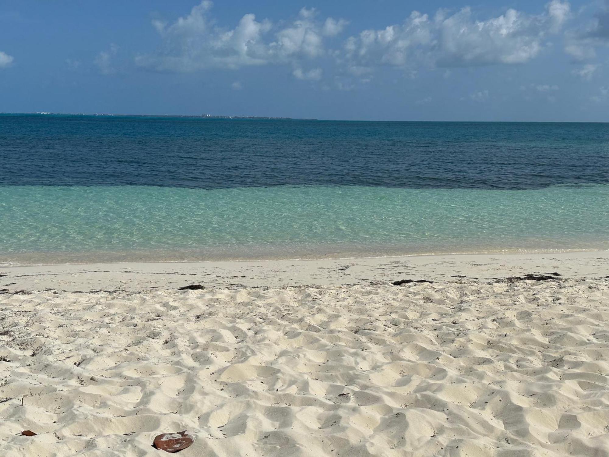 Albatros Oceanfront Luxury Hotelzone *