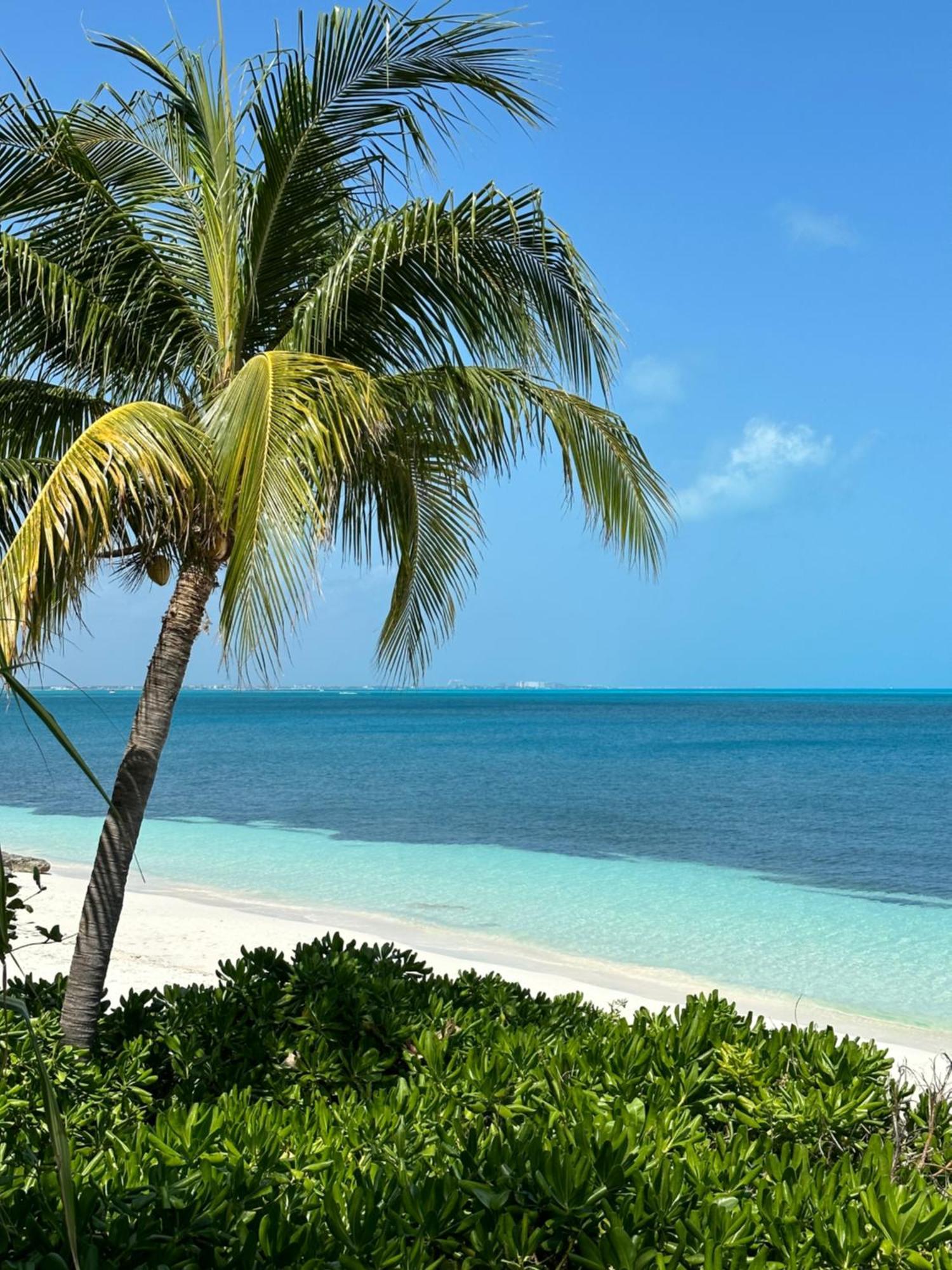 Villa Albatros Oceanfront Luxury Hotelzone