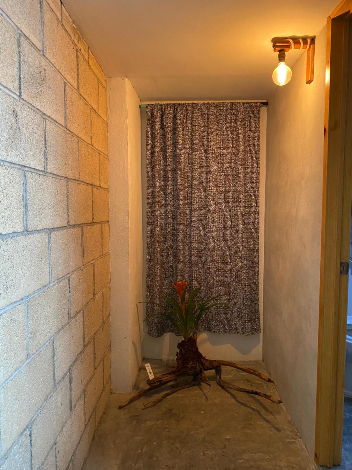 Apartment Depa 5