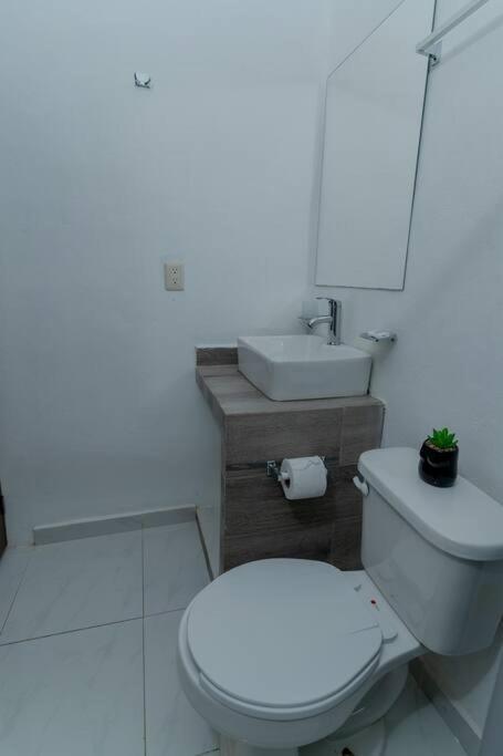 Autentico Estudio Confortable Y Centrico A/c Wifi Apartment