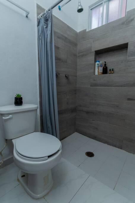Autentico Estudio Confortable Y Centrico A/c Wifi *