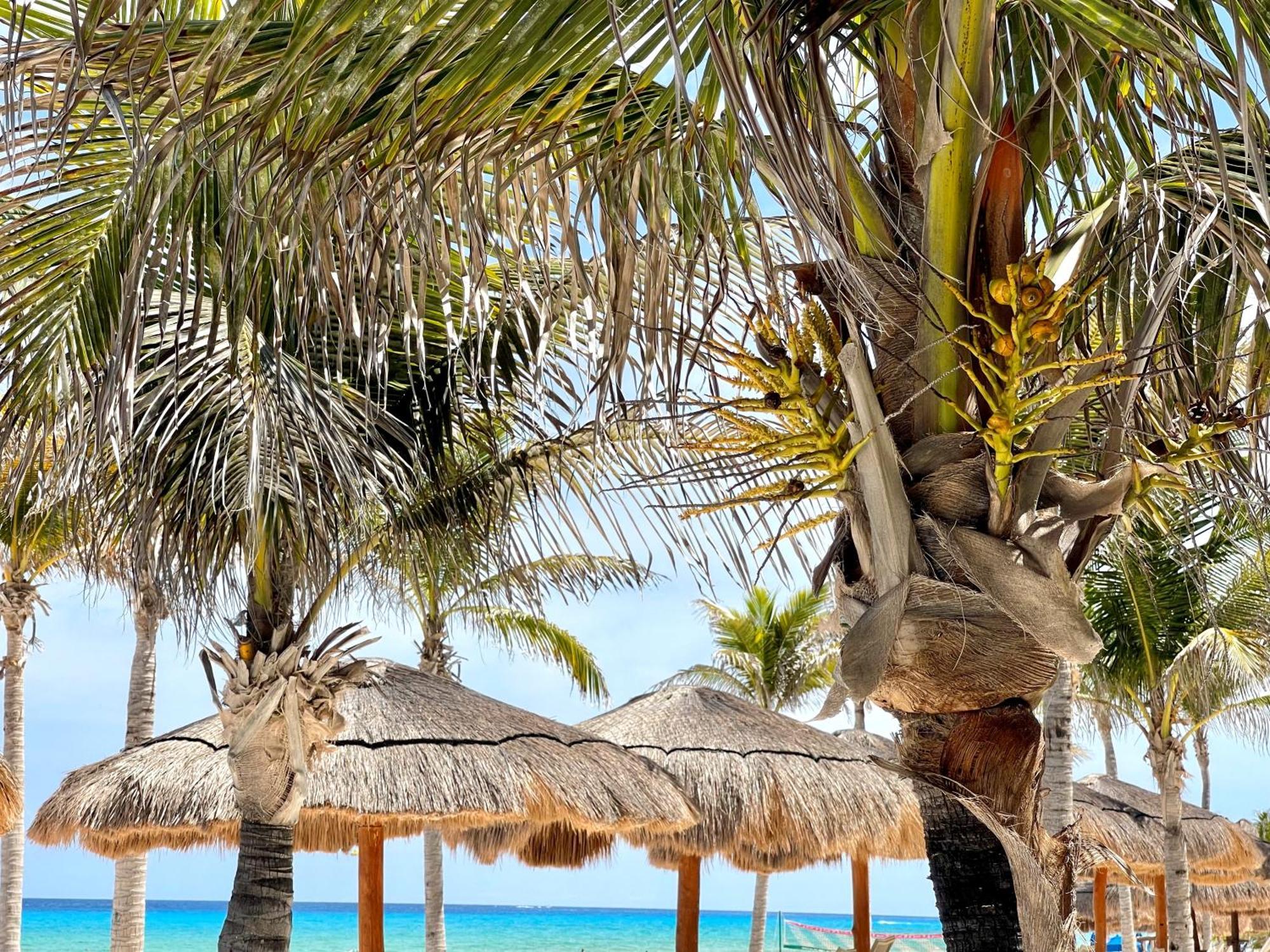Beachfront With Pool & Stunning Views Cancun