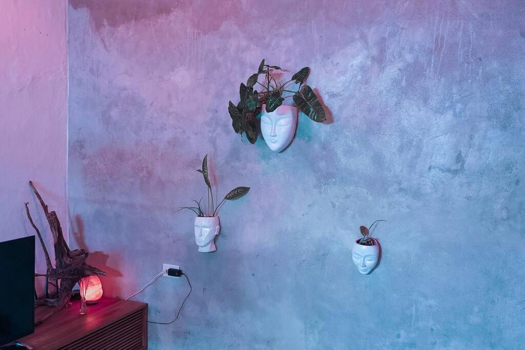 Apartment Depa 5