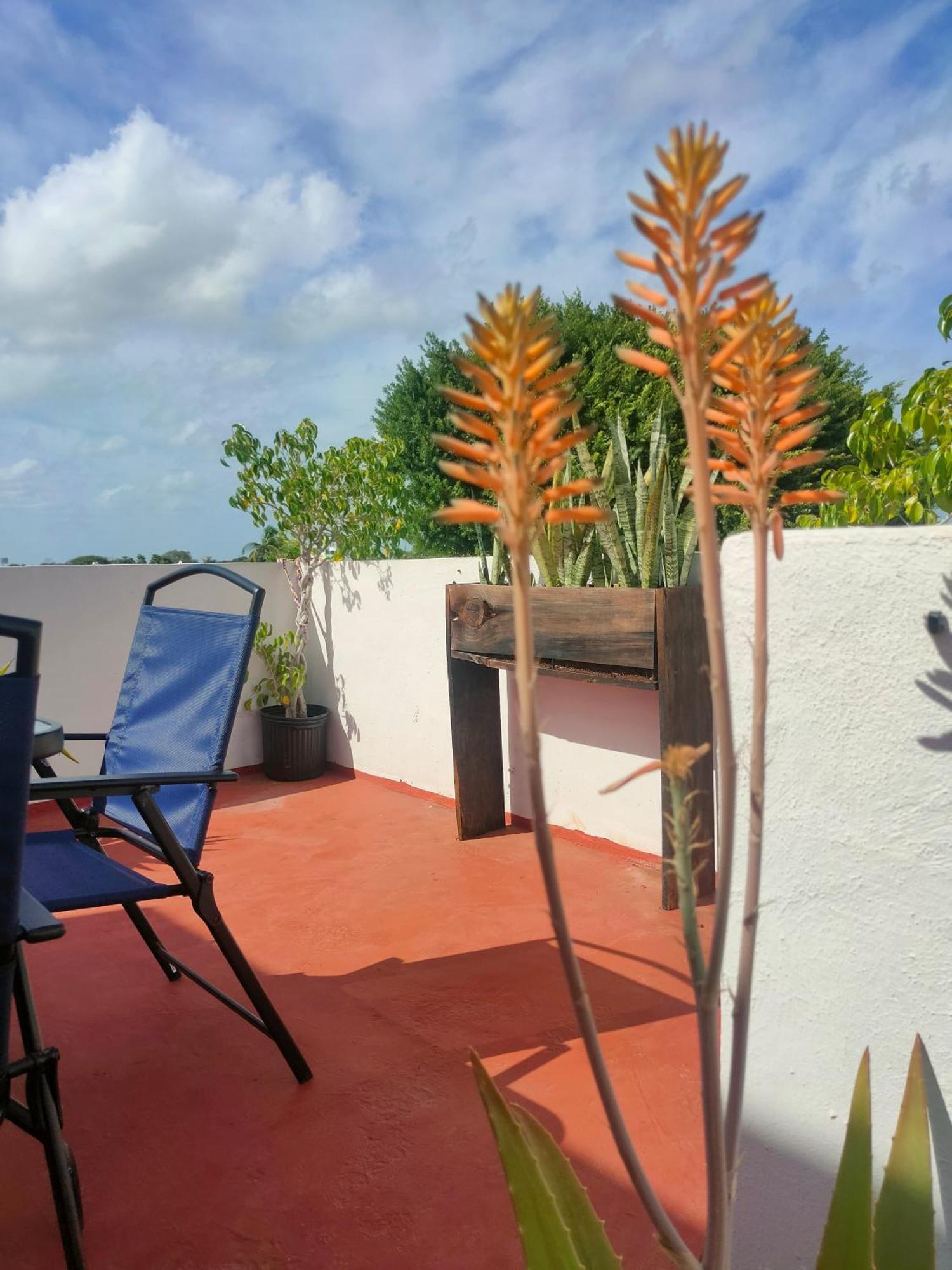 Casa Coraza Homestay