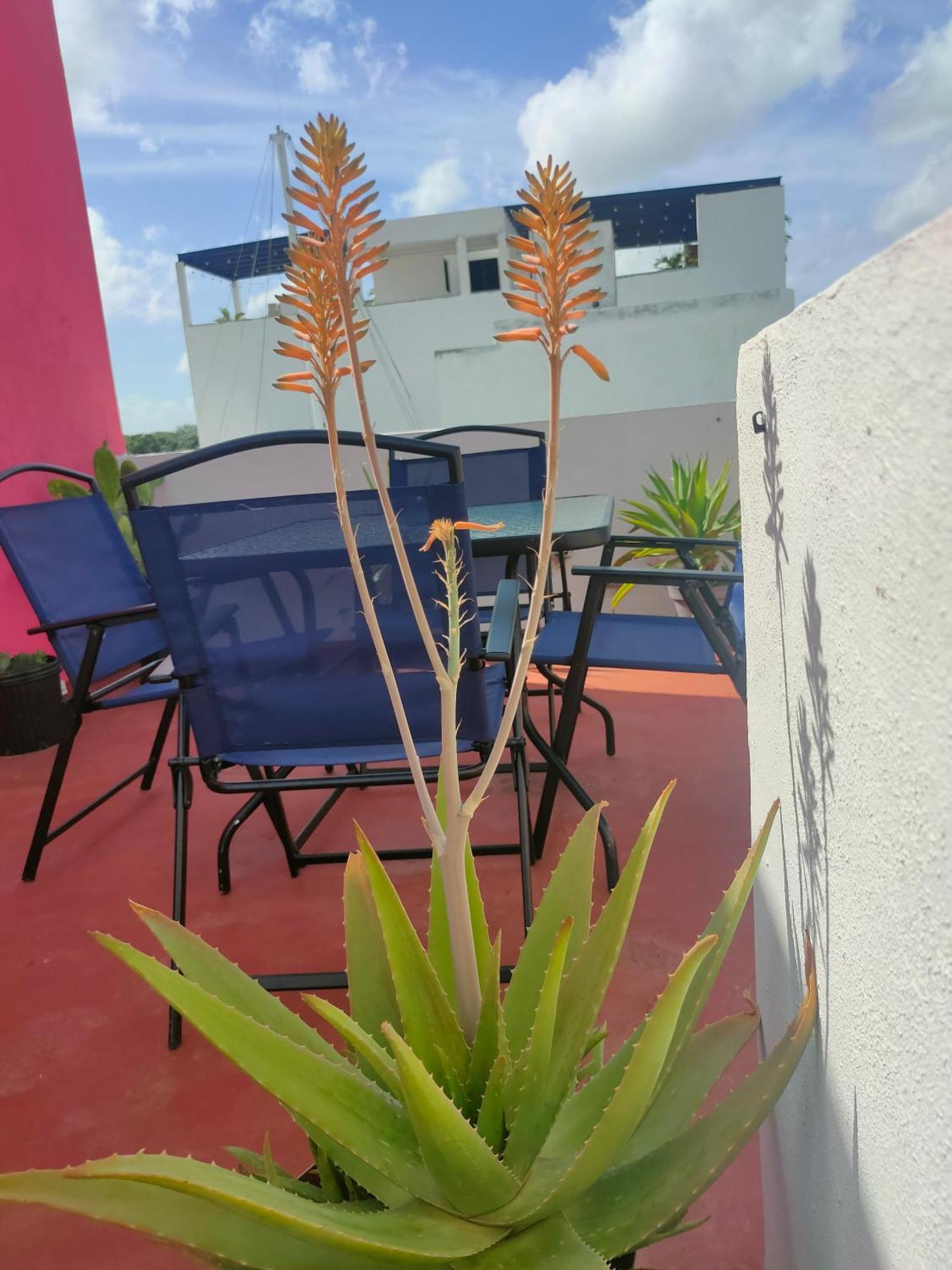 Casa Coraza * Cancun