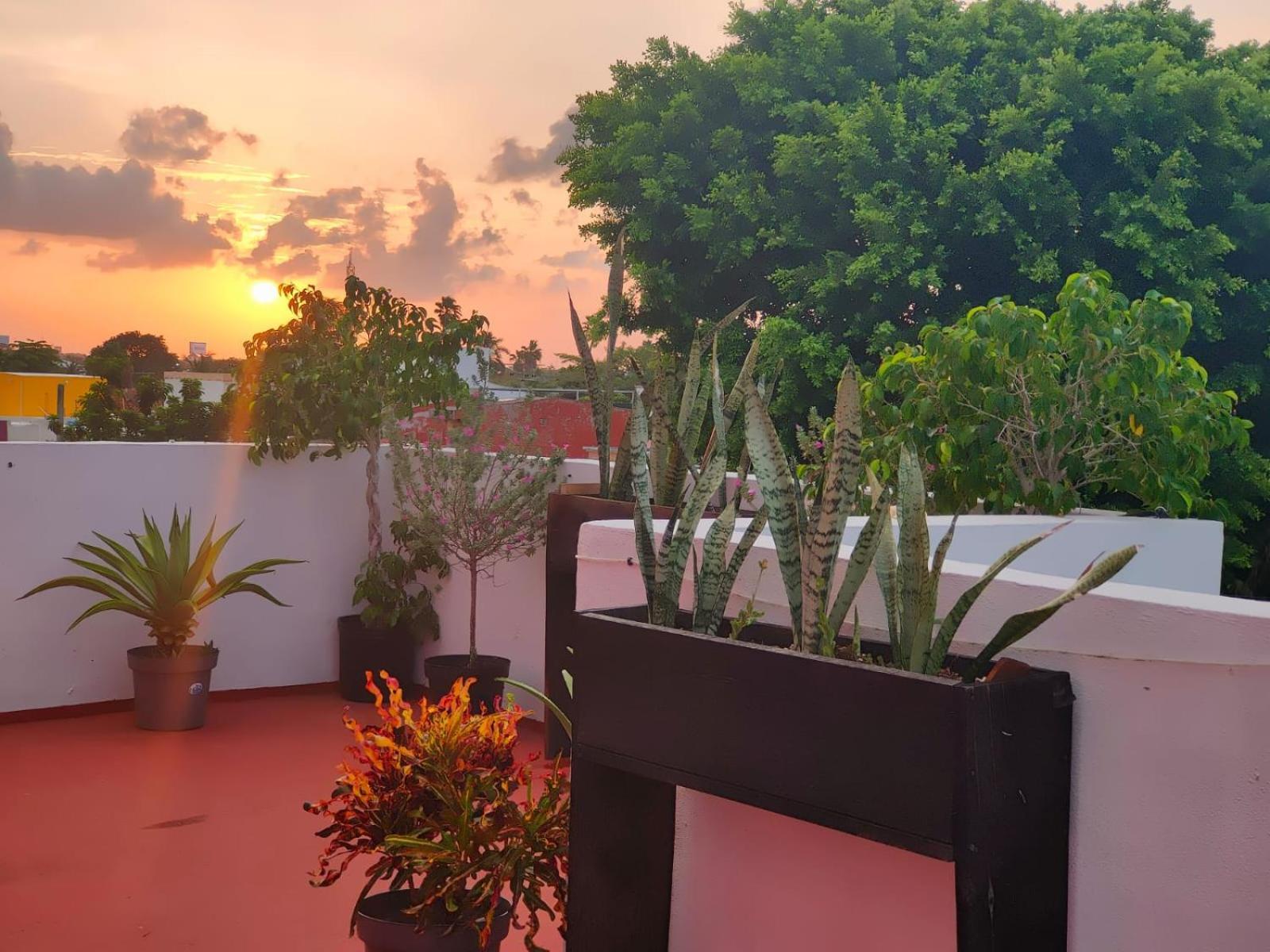 Casa Coraza Homestay