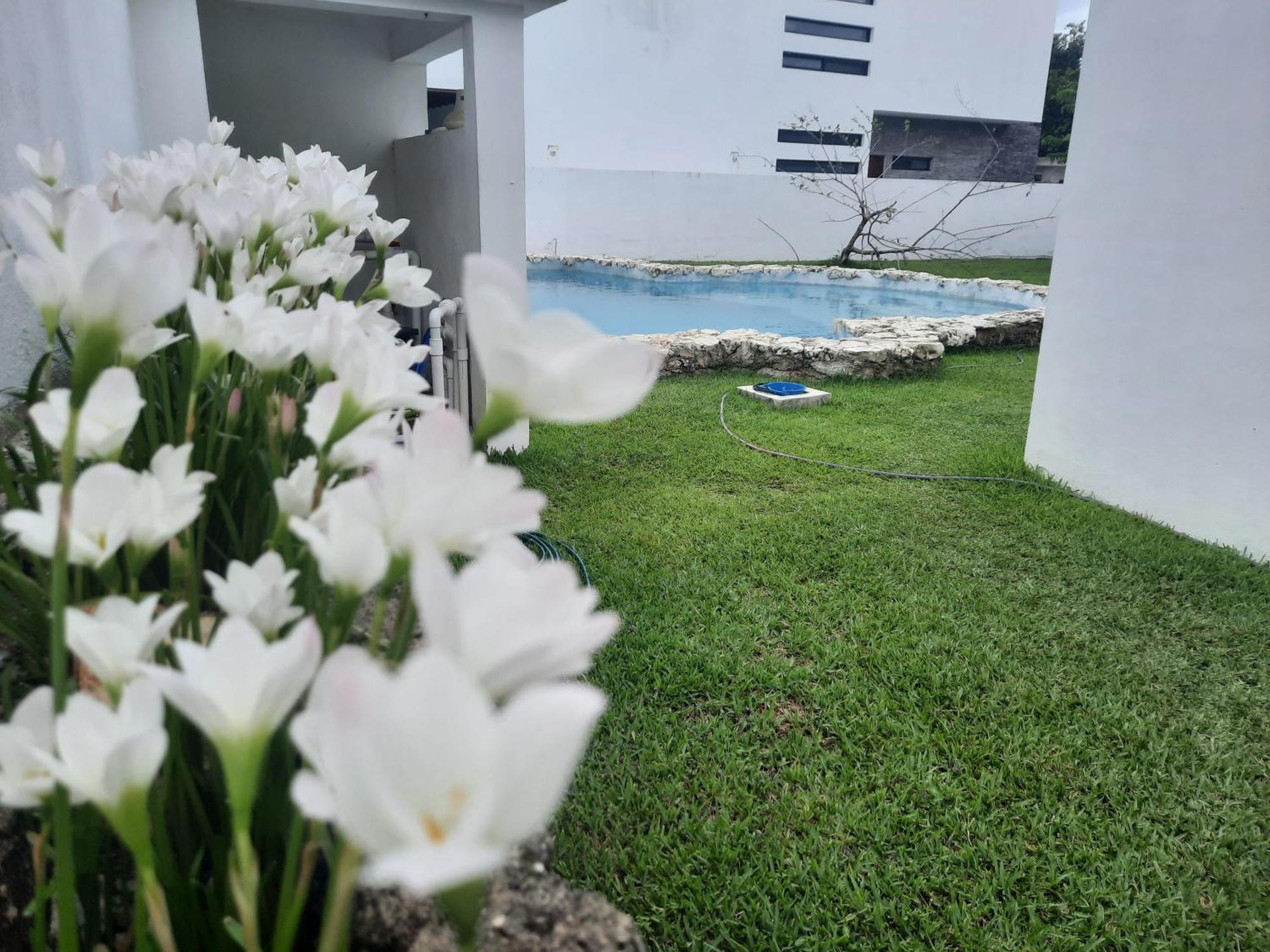 Amaxing Airport Cancún