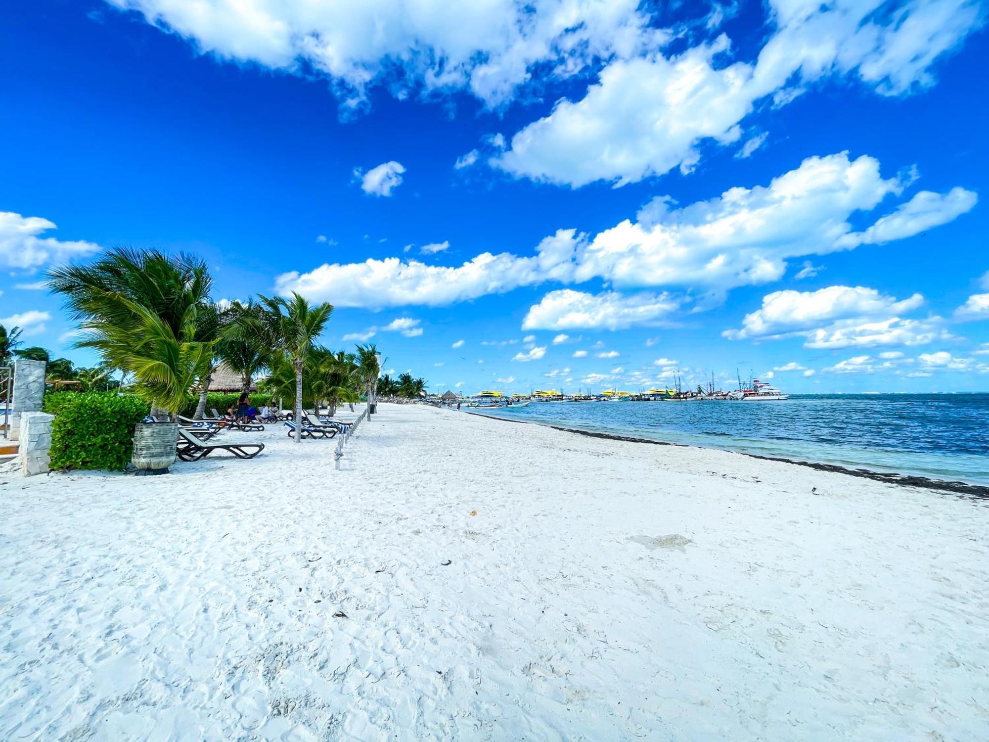 Apartment New Beachfront Luxury