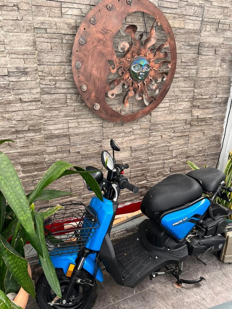Bed & Breakfast Ocean View Flamingo Cancun