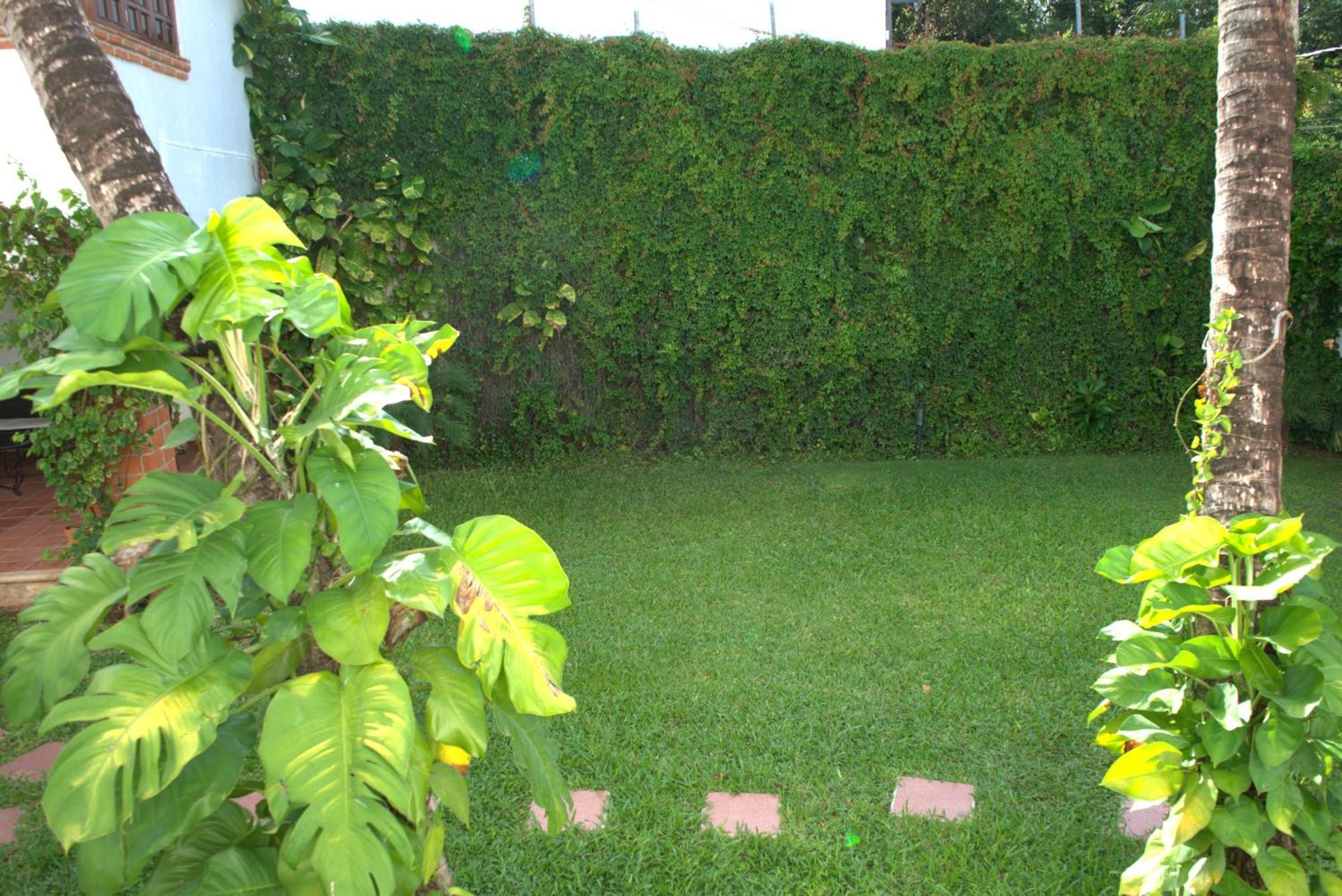 Beautiful Jungle House On A Strategic Location Cancun