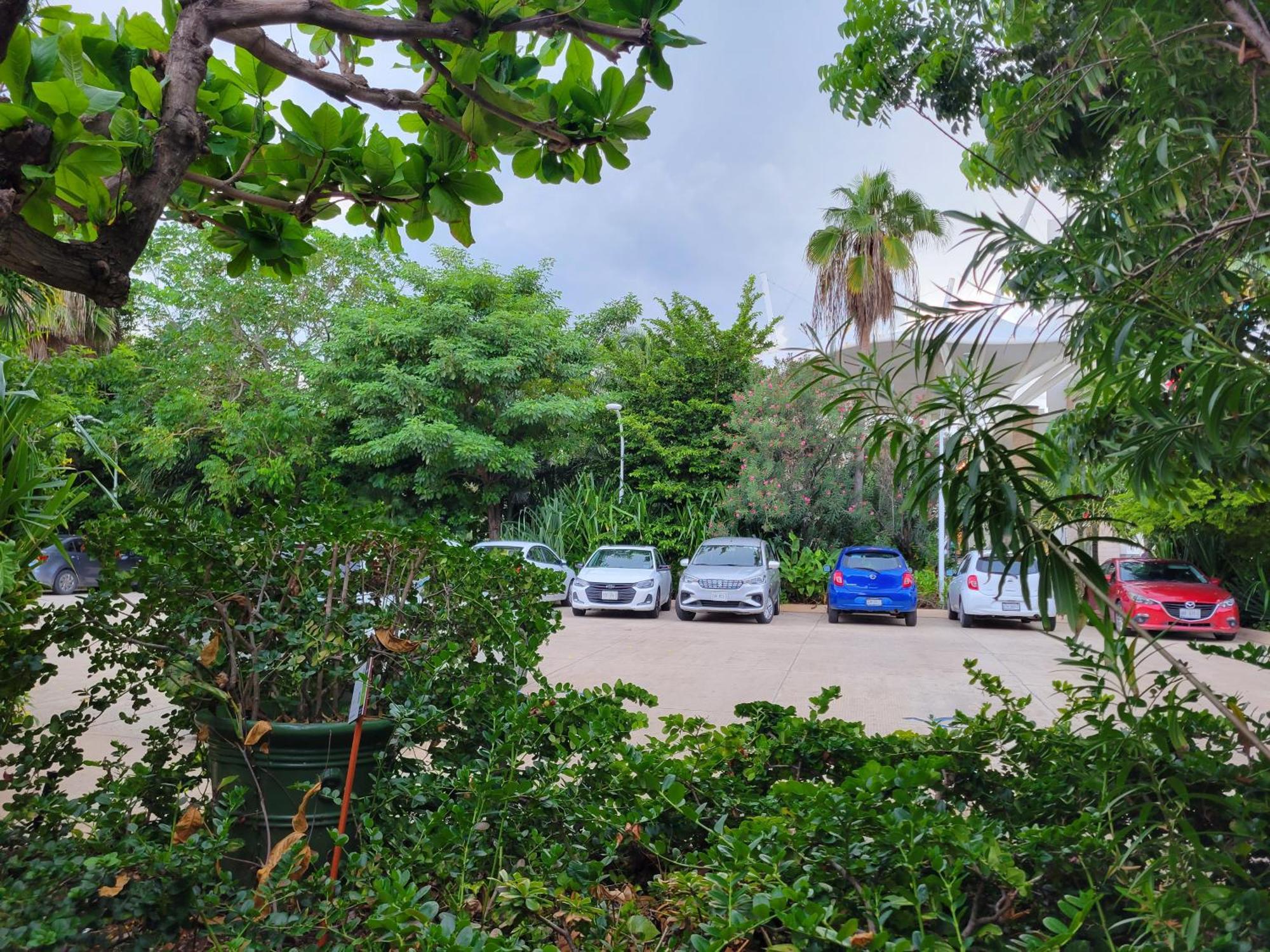 Aparthotel Beachfront Getaway *