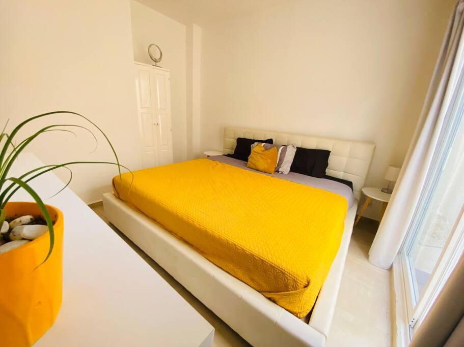 Apartment Beautiful Swimming Pool And 5 Star Amenities