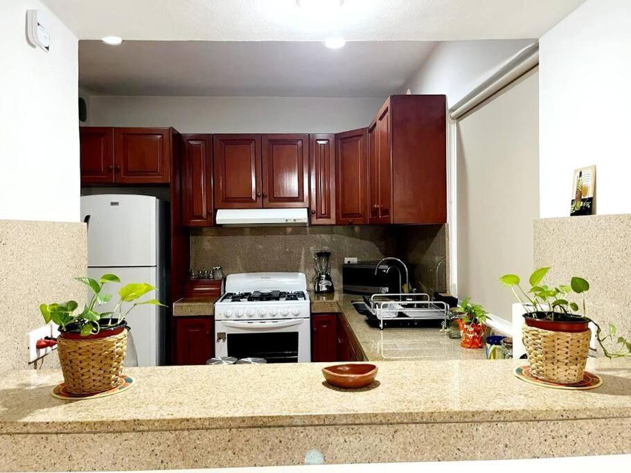 Casa Girasol Apartment Cancun