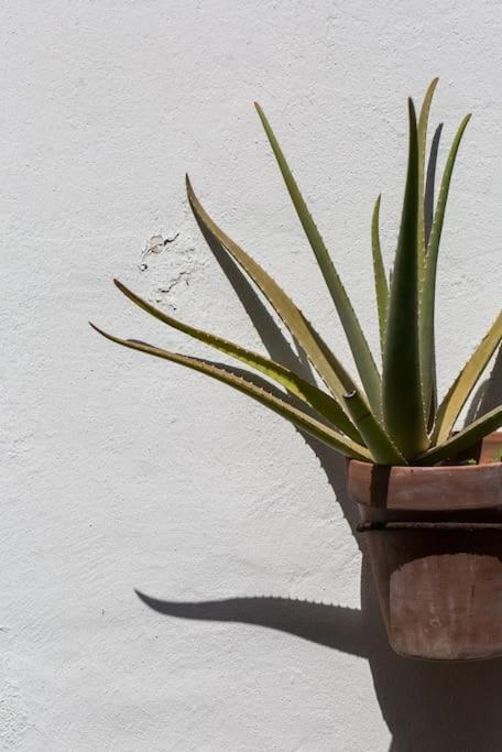 Tropical House In Downtown Holiday home Cancun