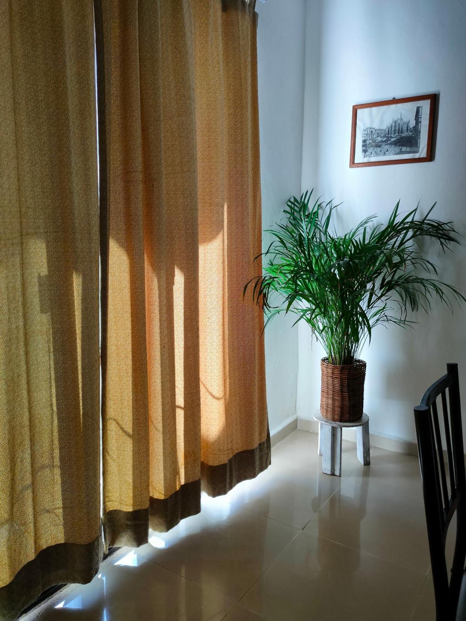 Casa Coraza Cancun