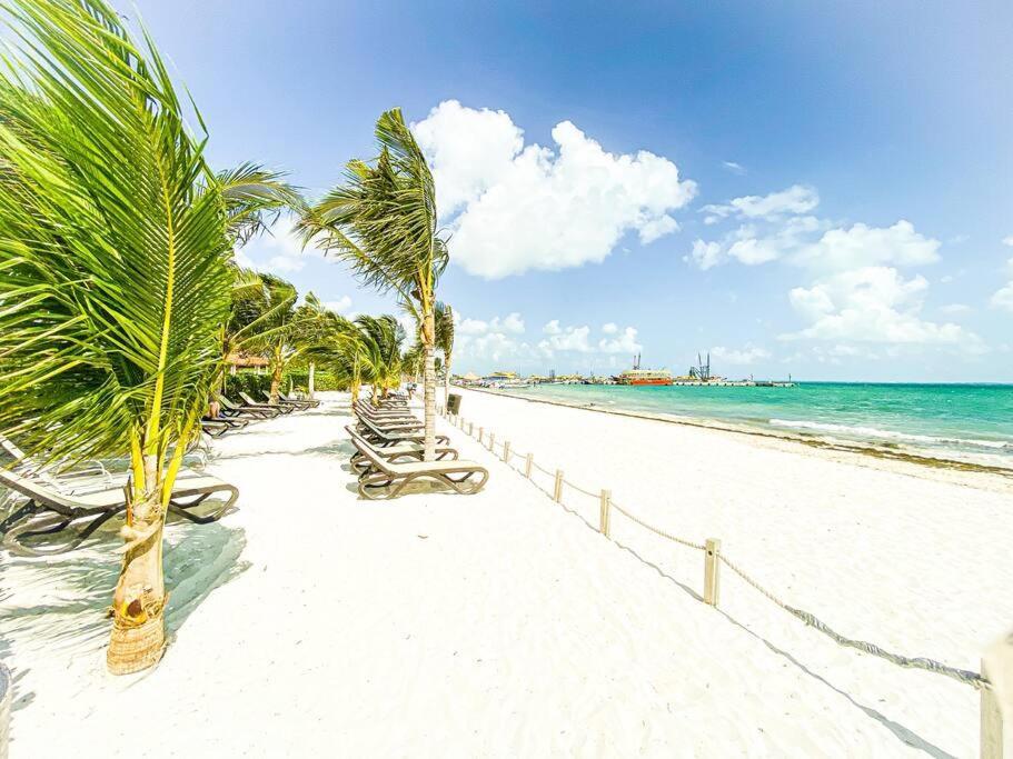Beachfront Luxury Facilities Amazing Location Apartment