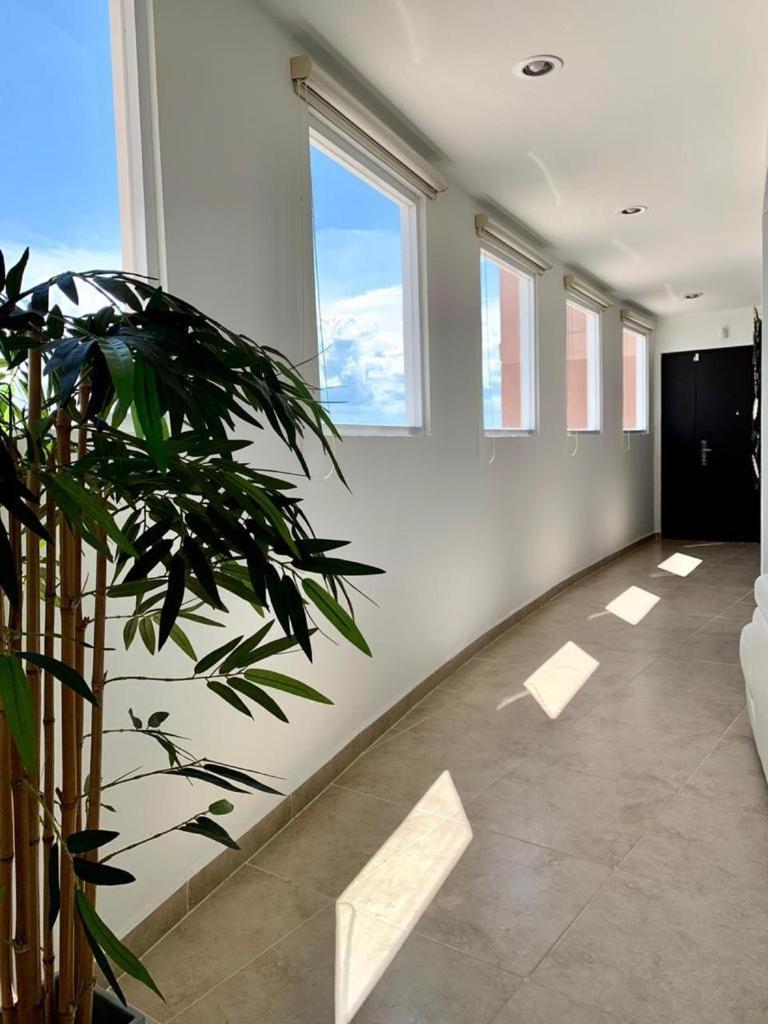 Apartment Great Penthouse Of Luxury In Dream Lagoon