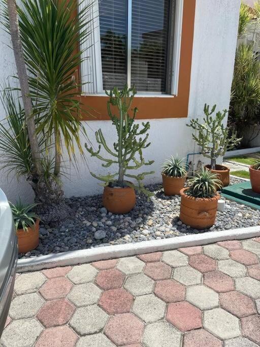 Casa Lorenza * Cancun