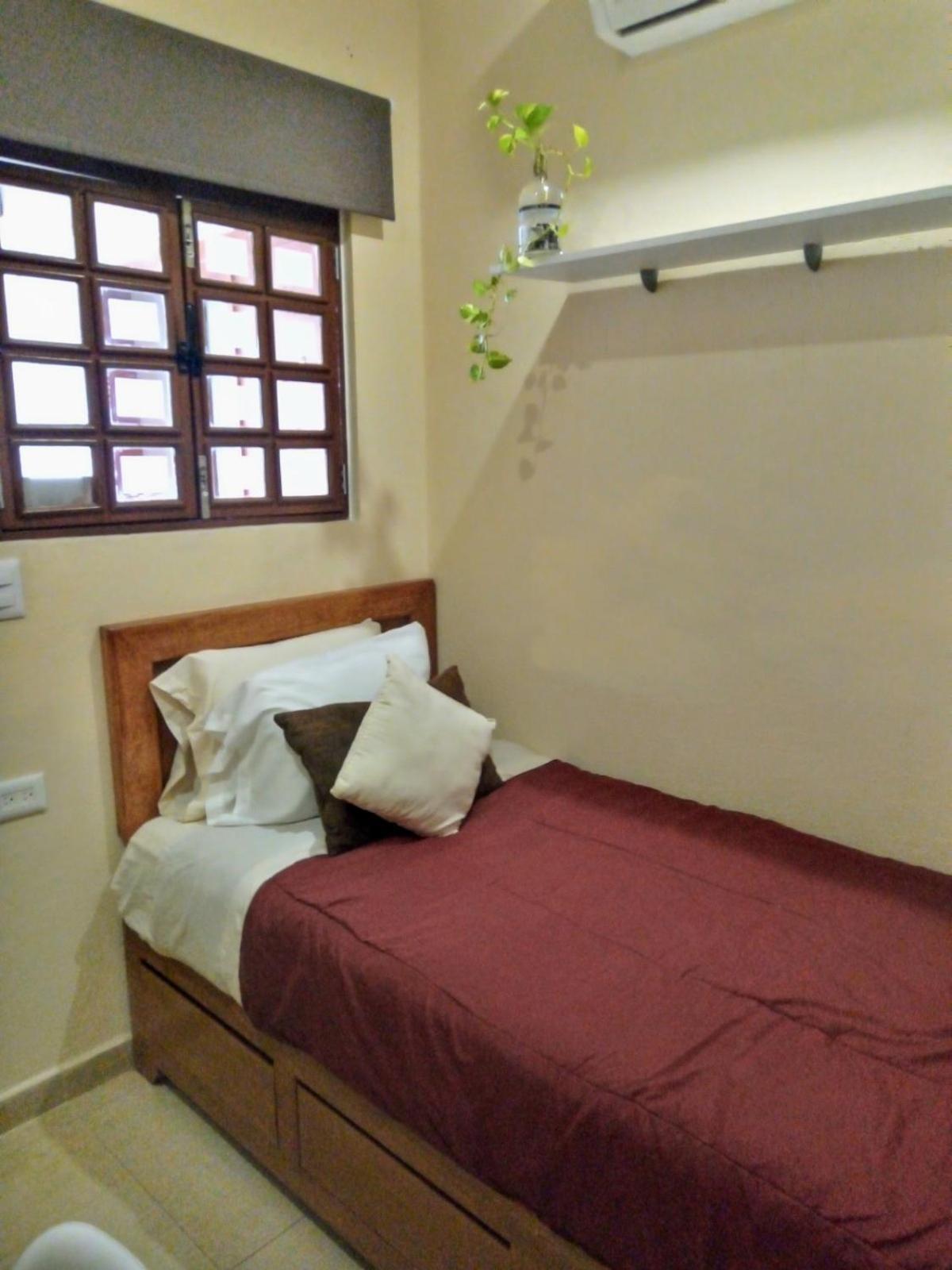 Pecari 3* Cancún