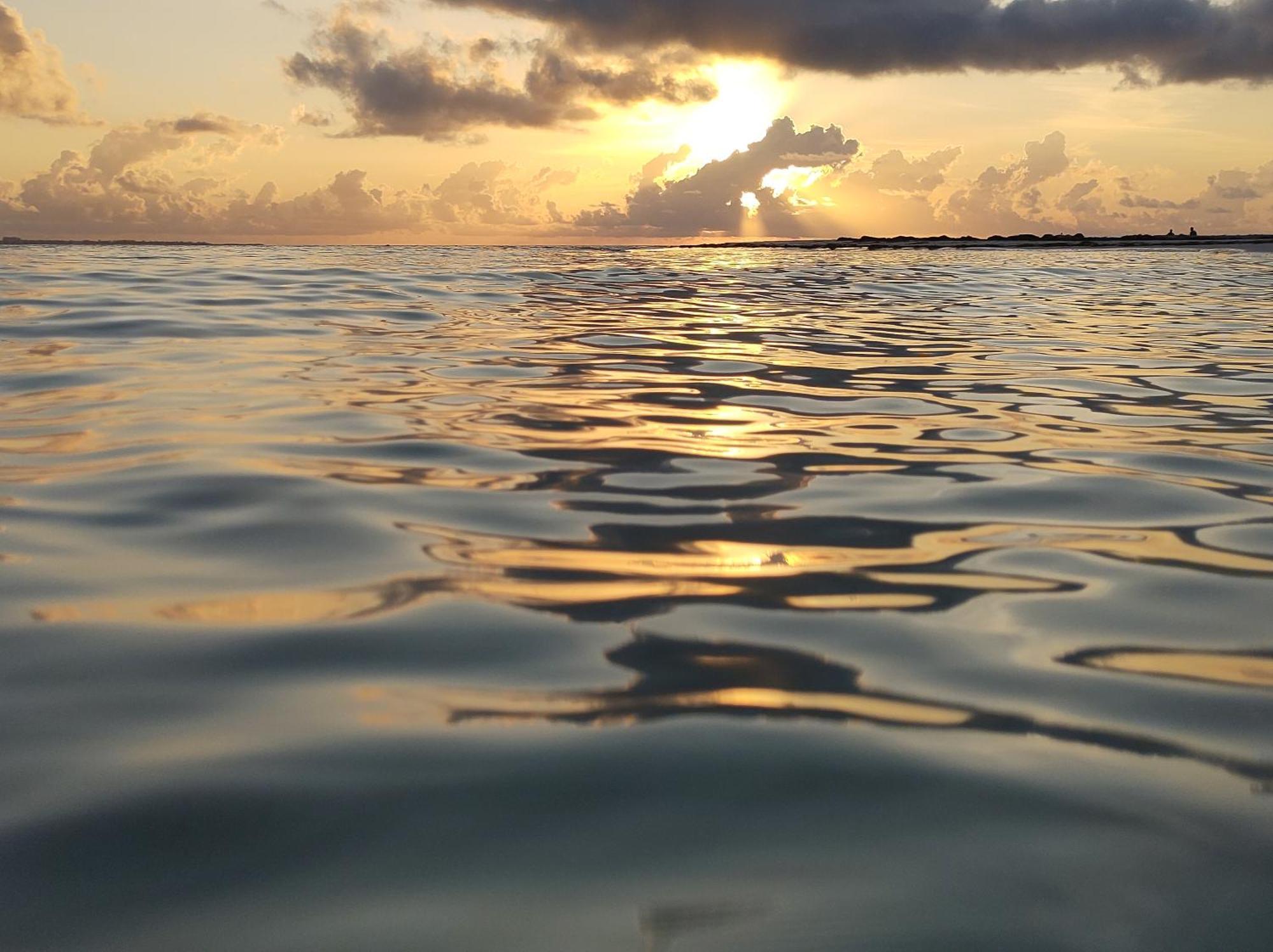 Pensión Lanegra Cancún