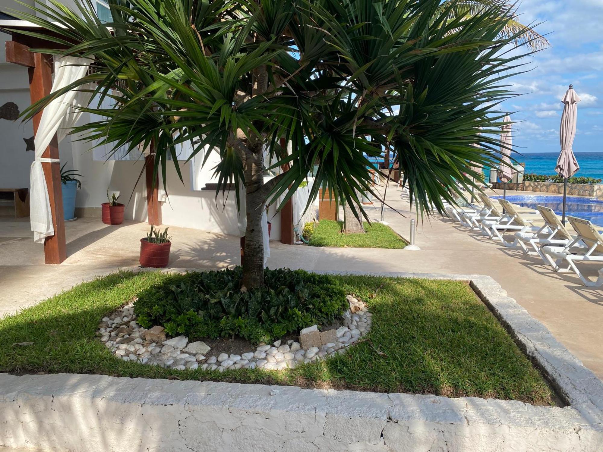 New Kristal Oceanfront - Best Location *