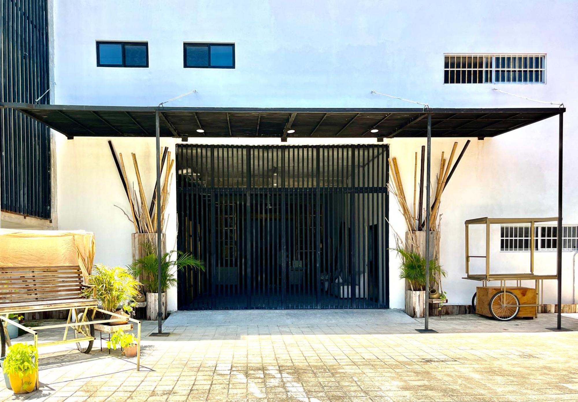 Urban Jungle Collection Apartment Cancún