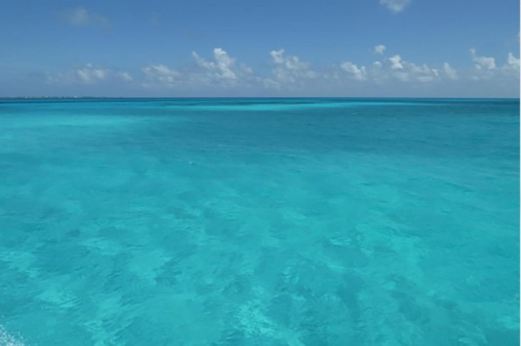 Blue Ocean