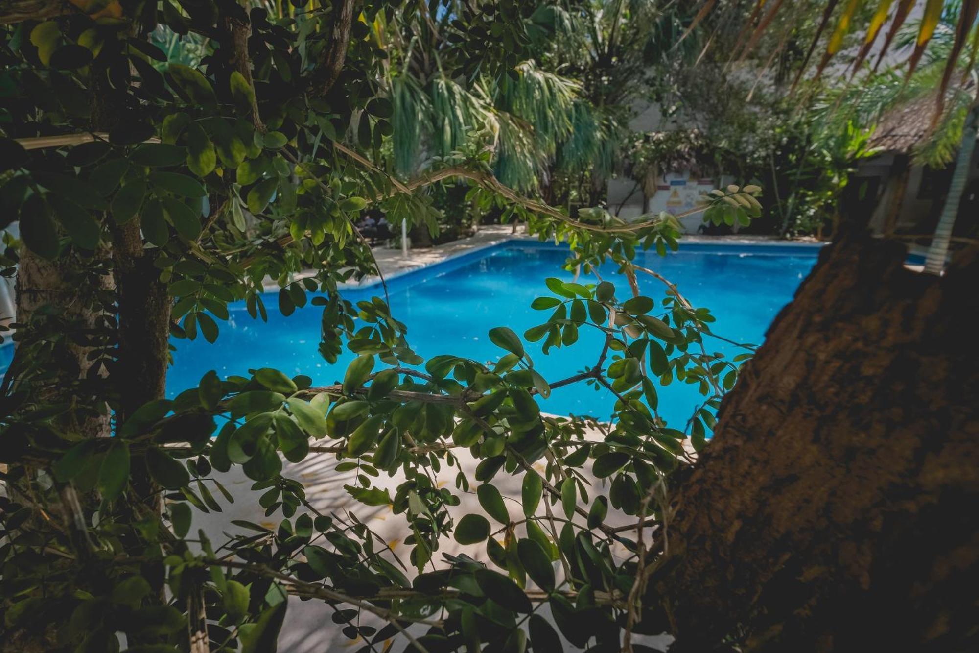 Hotel Sotavento & Yacht Club 3*