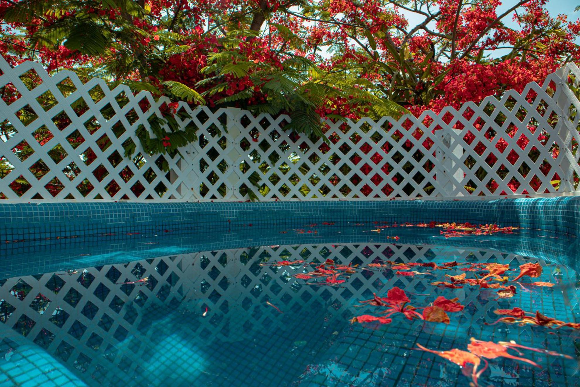 Guest house Casa Wayak Cancun