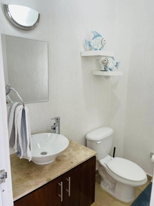 Maderos Residencial Penthouse And Rooftop Apartment *