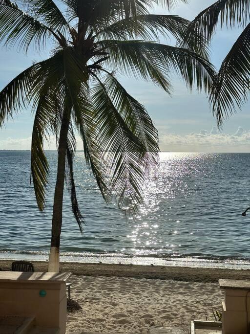 Ultimate Oceanview Penthouse Spectacular Sea Views Apartment Cancun