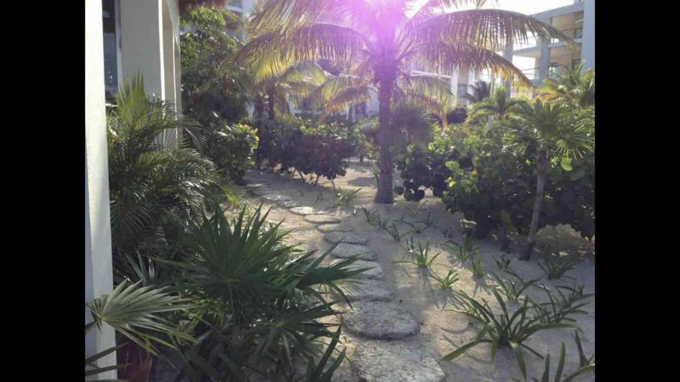 Depa En Playa Baja Densidad Solo Rentas Largo Plazo 90d O Mas * Cancun