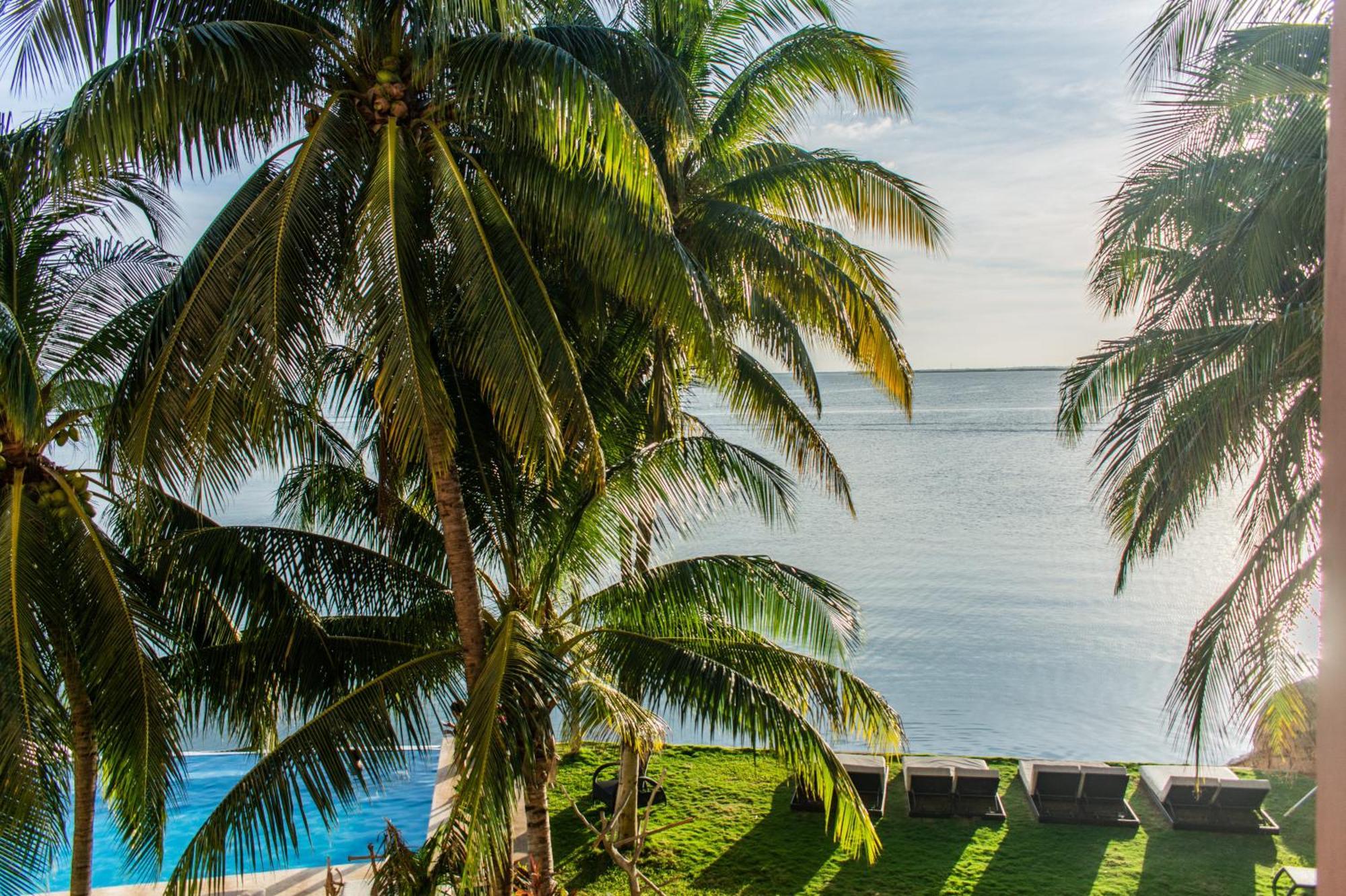 Casa Tortugas Boutique Hotel, An Authentic Hidden Gem In Hotel Cancun