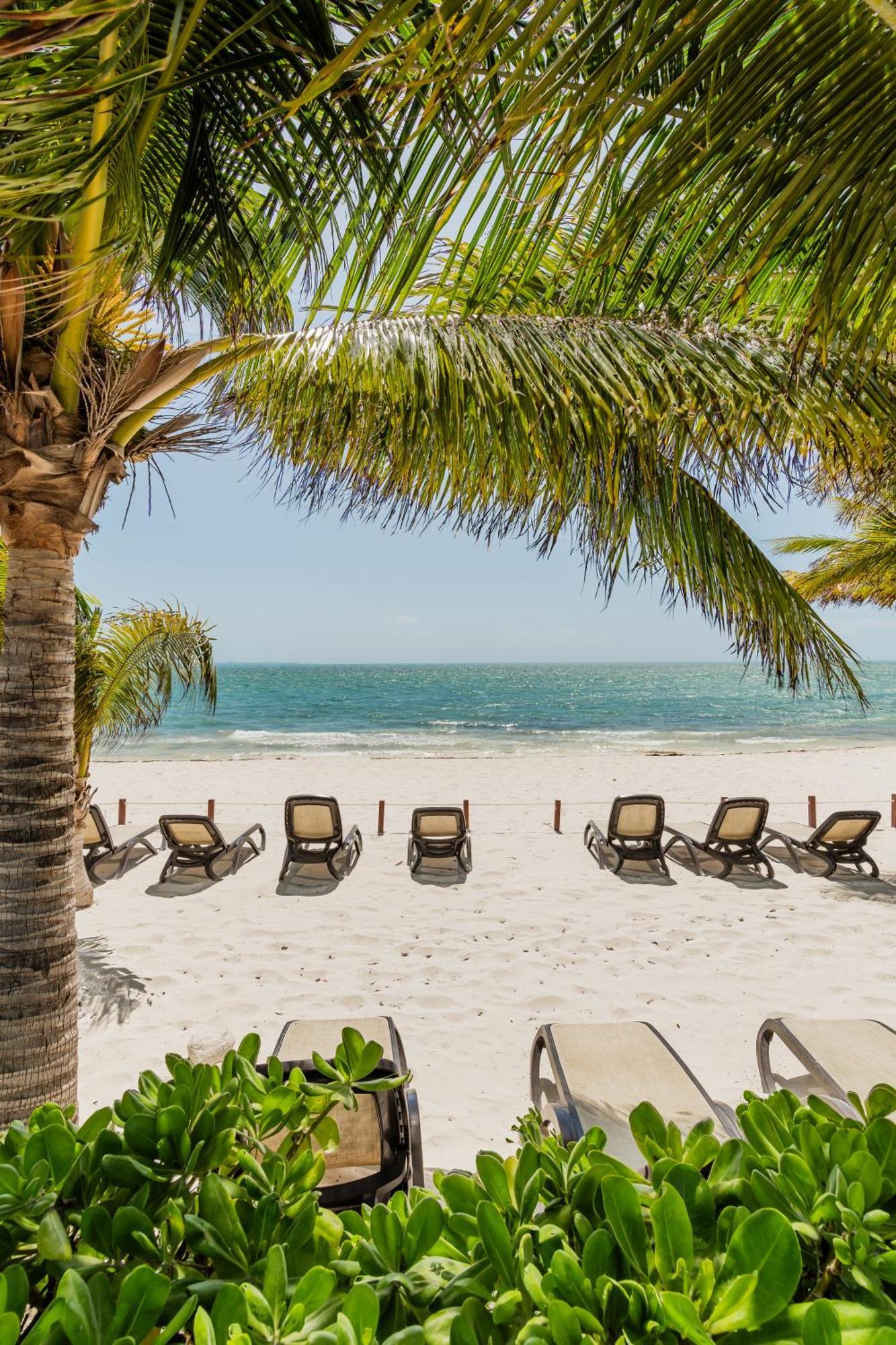 Seacost Beachfront 2bdr With Pool By Casa Paraiso Apartment
