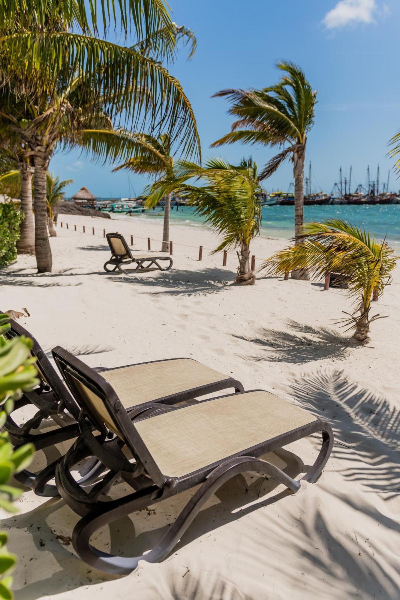 Apartment Seacost Beachfront 2bdr With Pool By Casa Paraiso